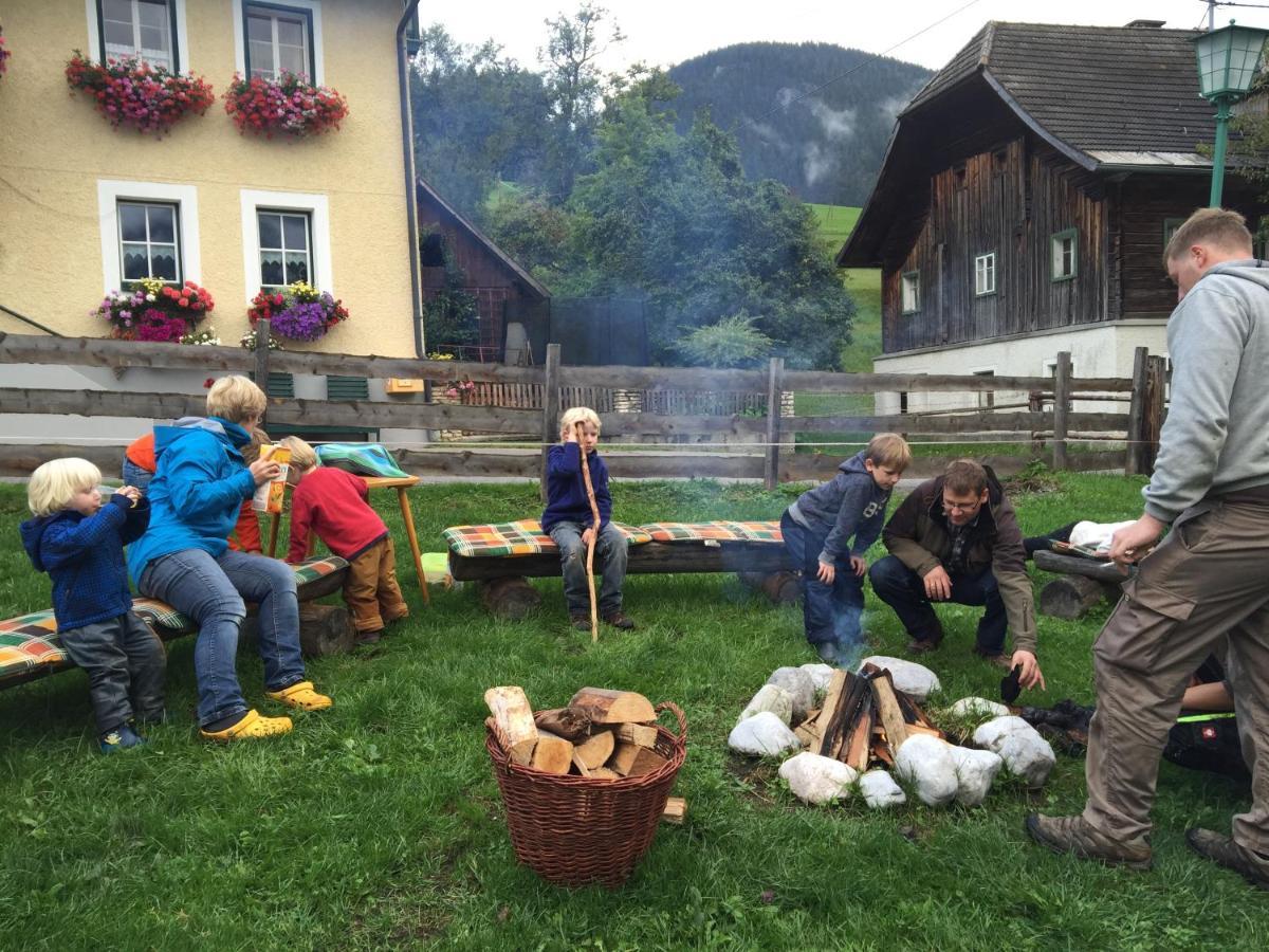Pichlerhof Sommmercard - Urlaub Am Bauernhof Birnberg Buitenkant foto